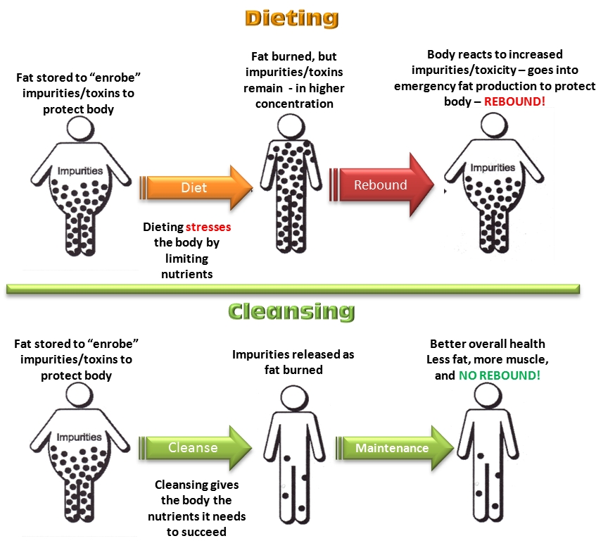dieting-vs-cleansing-web