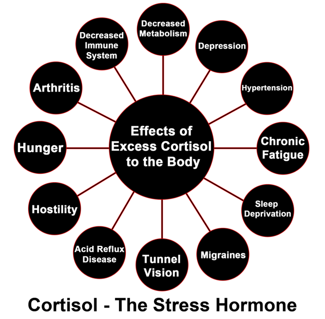 3693---cortisol